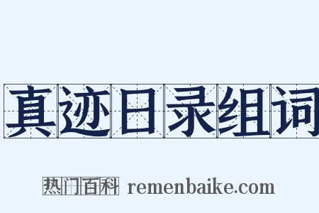 真迹日录组词是什么意思的图片